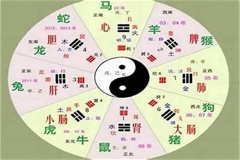 爾 五行|尔字的五行属性